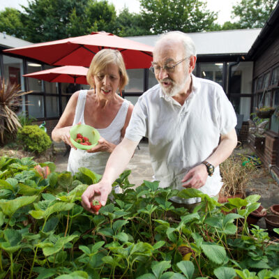2 people happily gardening